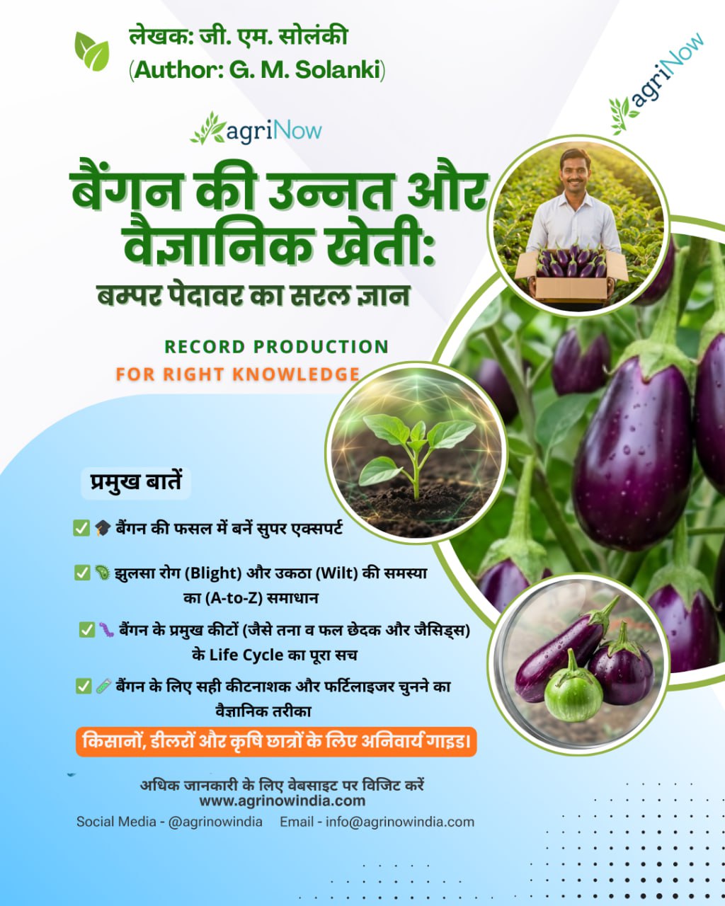 बैंगन की रोगमुक्त खेती