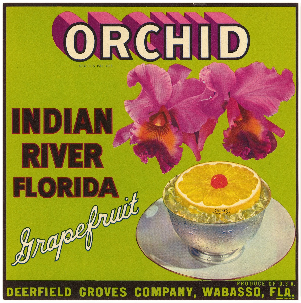 Grapefruit Label for Orchid 1930 1950