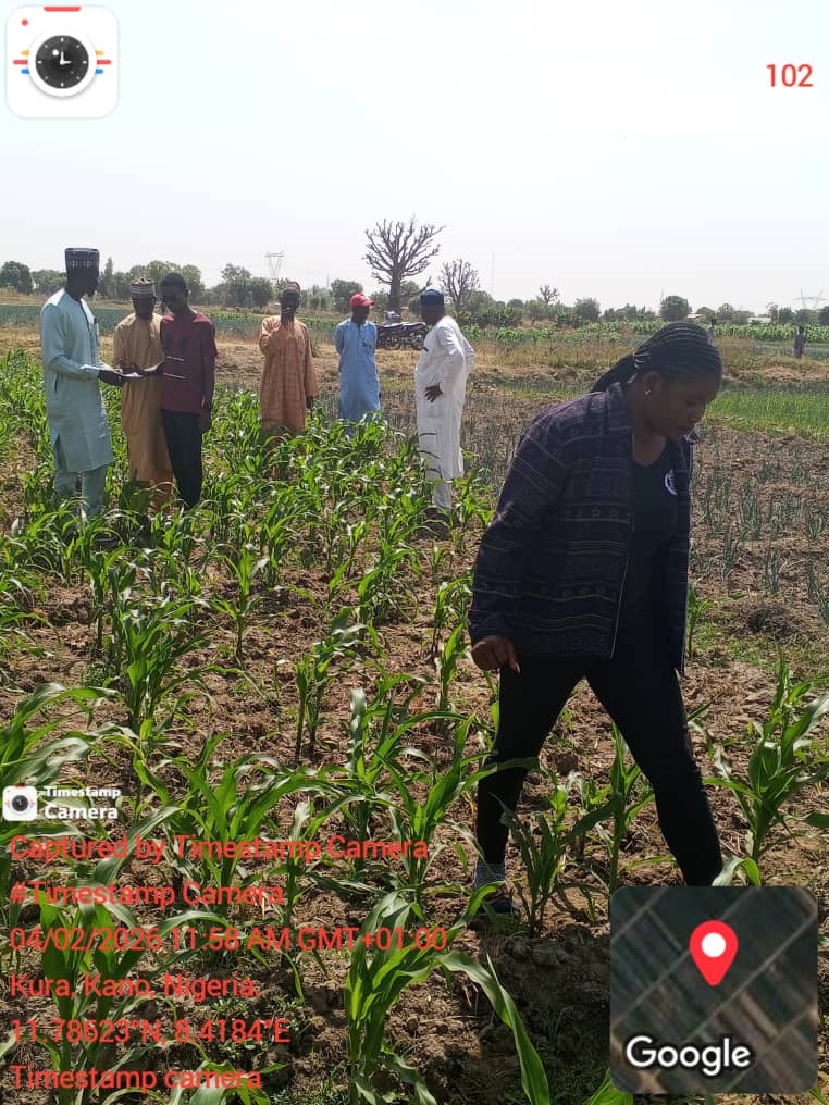 Kano State pilot — team