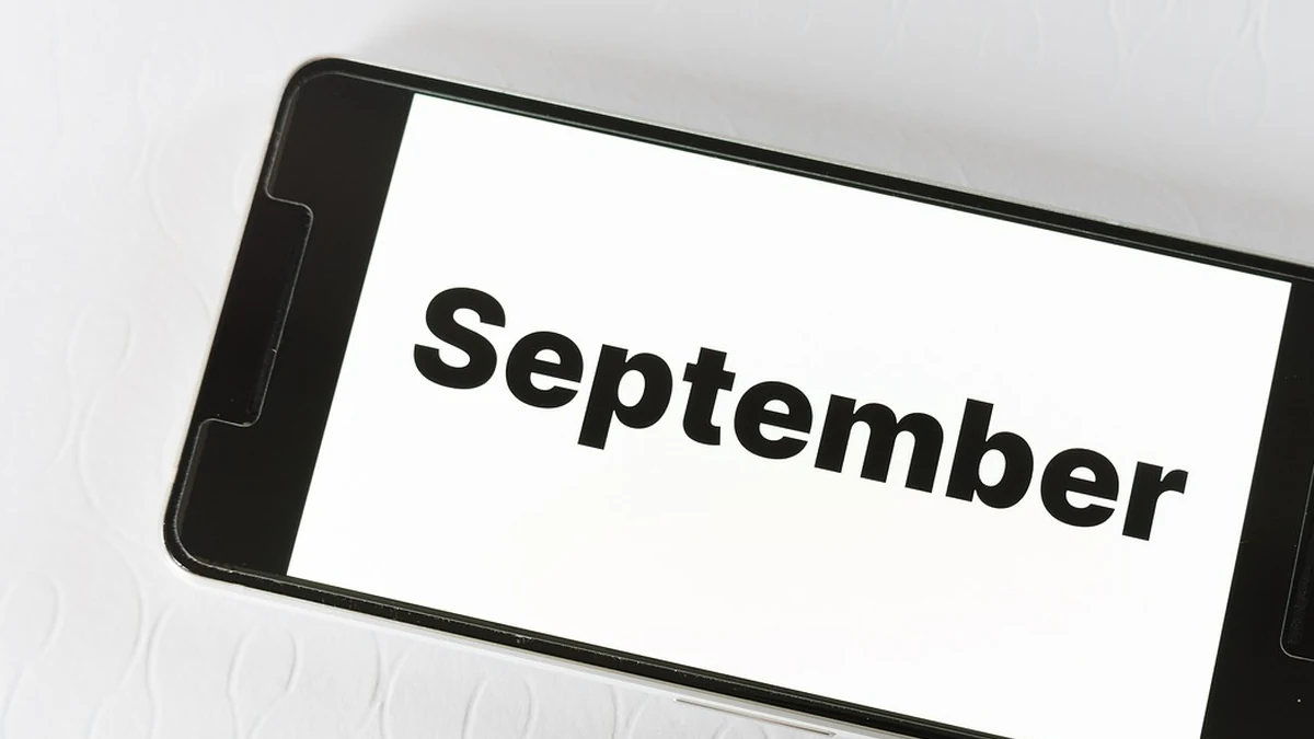 정부24 이용 방법과 인증서 없이 간편하게 신청하는 팁