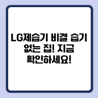 LG제습기, 습기 제거 방법, 왜 LG제습기가 좋은가, 효과적인 제습기 선택, 어떻게 습기를 없앨까