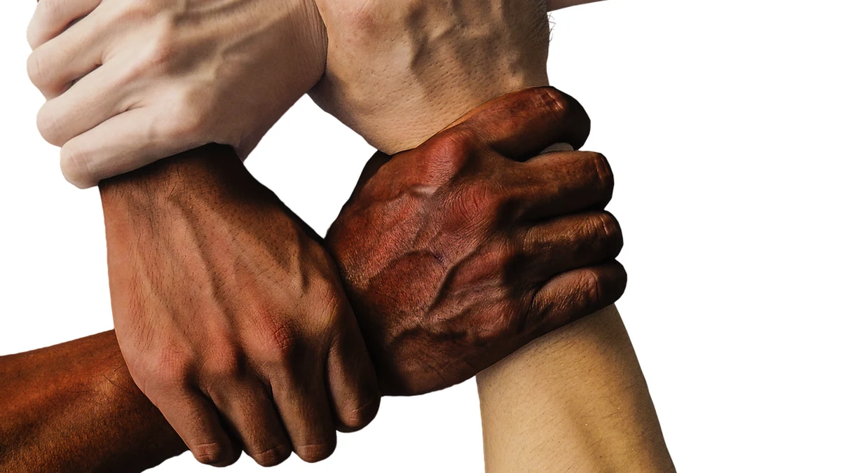 사회 갈등의 원인과 구조적 배경, 해결 가능성 고찰