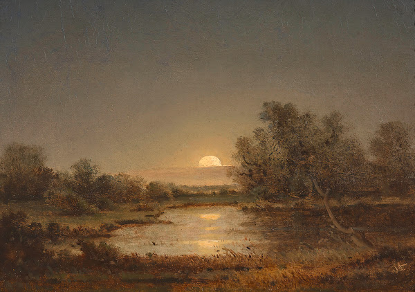 Die Strasserau bei Linz ca 1850