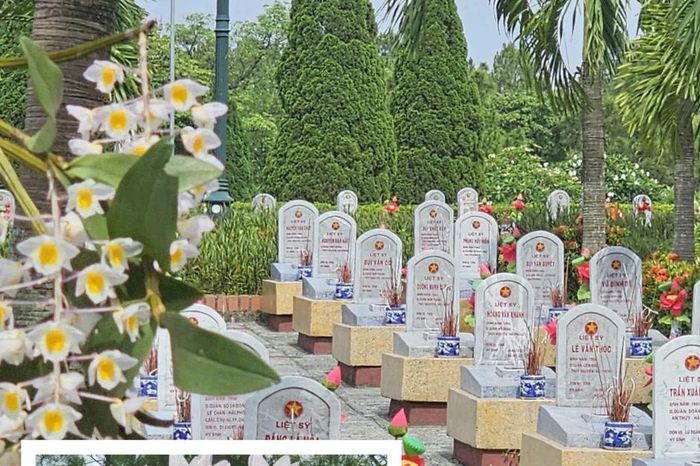 Những đóa hoa lan và lời tri ân người nằm xuống ở Nghĩa trang liệt sĩ Quảng Trị - Báo Giáo Dục &amp; Thời Đại