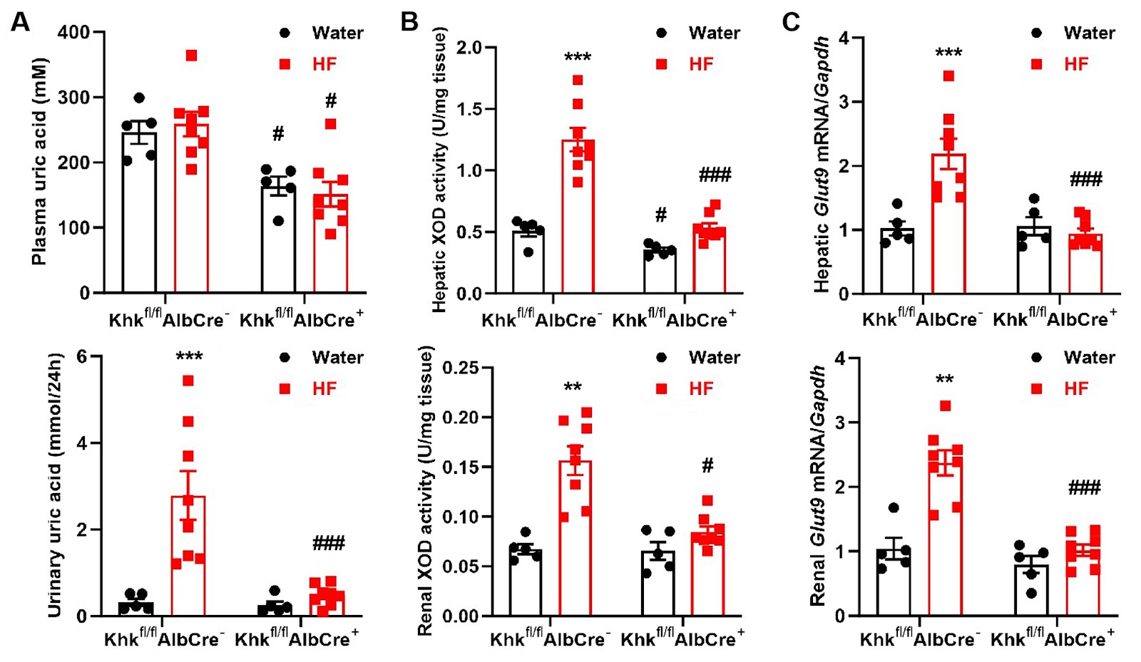 The effect of liver-specific ketohexokinase deletion on the intestinal-liver-kidney axis in high-fructose-induced metabolic syndrome mice