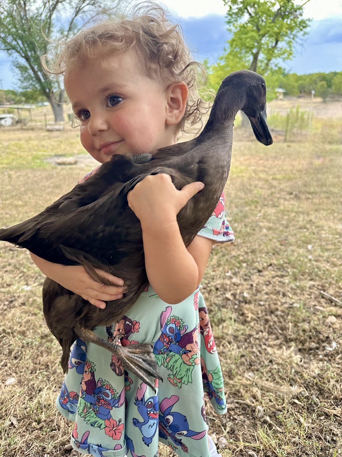 Chocolate Runner Duckling