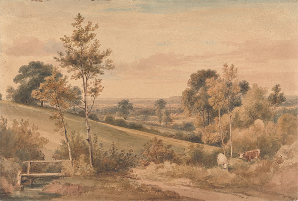 Little Bushey Hertfordshire