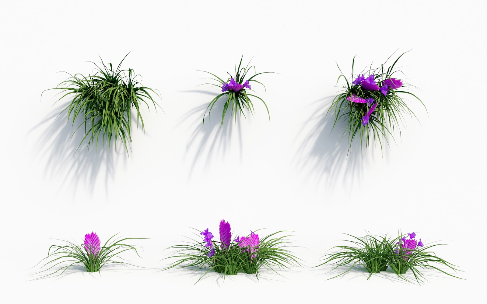 Maxtree - Plant Models Vol.8