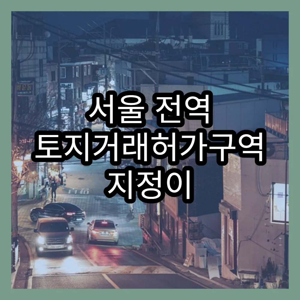 서울 전역 토지거래허가구역 지정이 부동산 시장에 미치는 영향