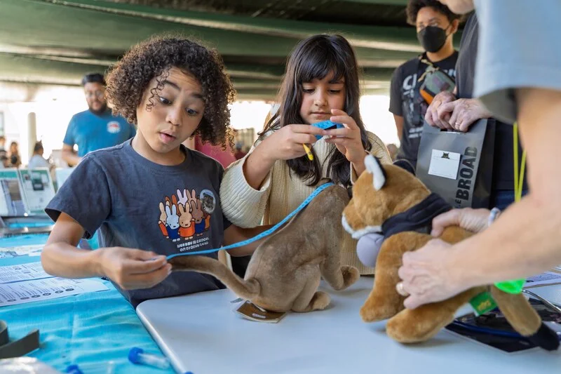 Children participate in a hands-on activity at a previous Pasadena Humane Wildlife Day