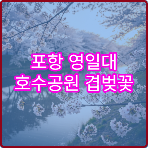 포항 영일대 호수공원 겹벚꽃 가족 피크닉 주차장 숨은 명당 위치