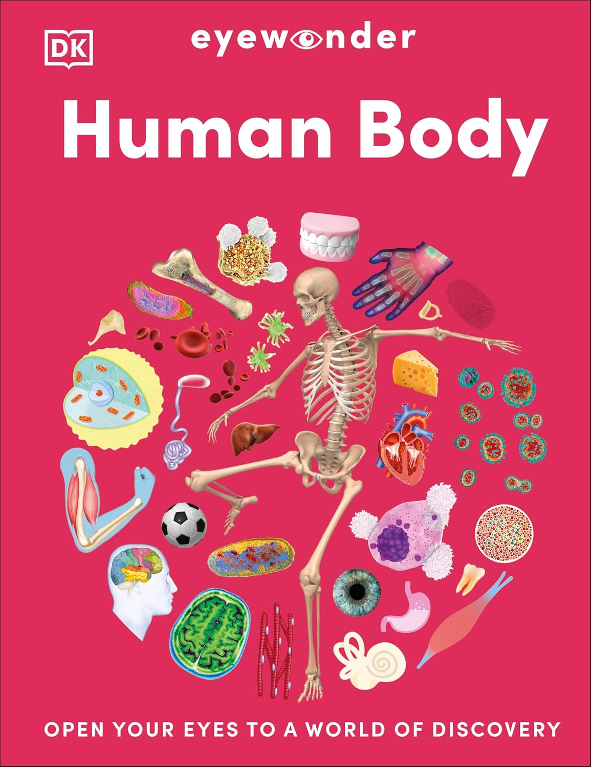 Eyewonder Human Body book cover