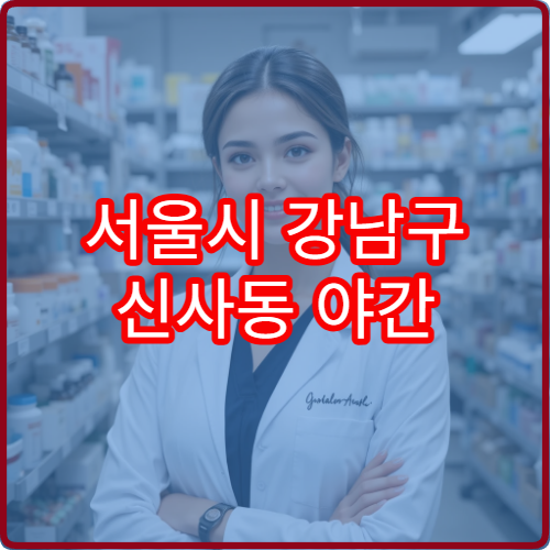 서울시 강남구 신사동 야간 약국 가로수길 주변 문 여는 약국