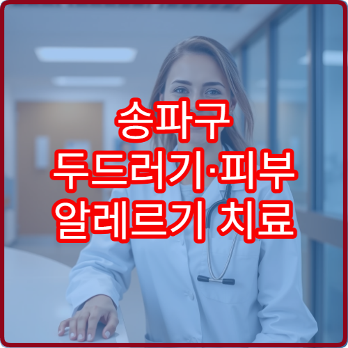 송파구 두드러기·피부 알레르기 치료 전문 병원 안내