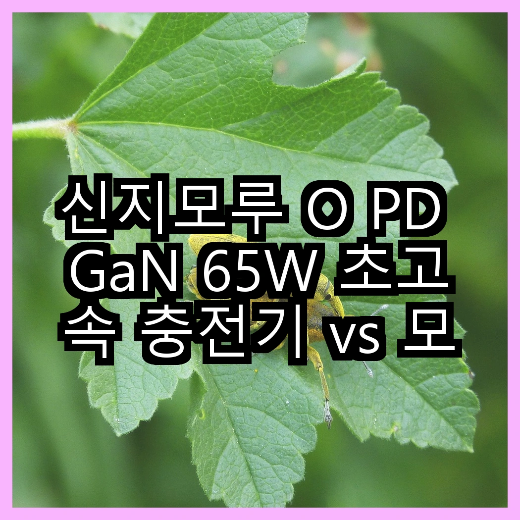 신지모루 O PD GaN 65W 초고속 충전기 vs 모잇 애플워치 무선 충전기, 어떤 충전기가 더 실용적일까? 썸네일