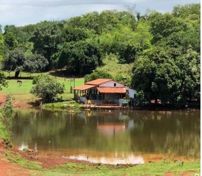 Fazenda em Montes Claros de Goiás - GO 8
