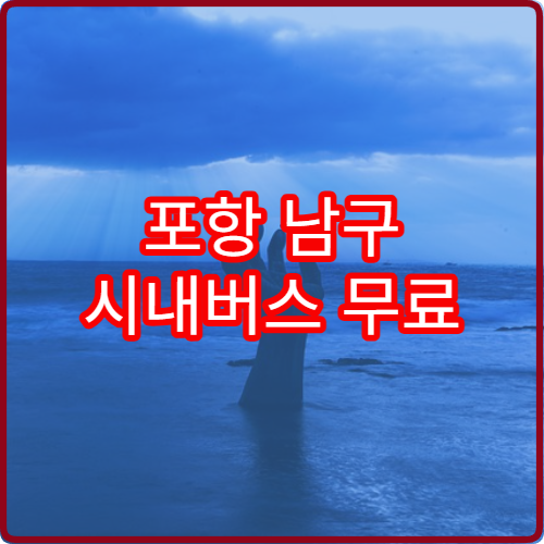 포항 남구 시내버스 무료 70세 2026 이용 자격 확인