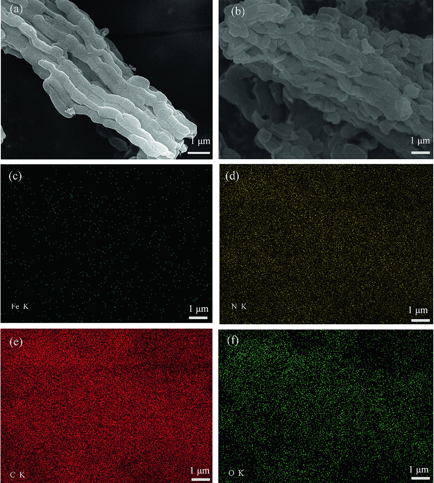 Enhanced activation of peroxymonosulfate by Fe/N co-doped ordered mesoporous carbon with dual active sites for efficient removal of m-cresol