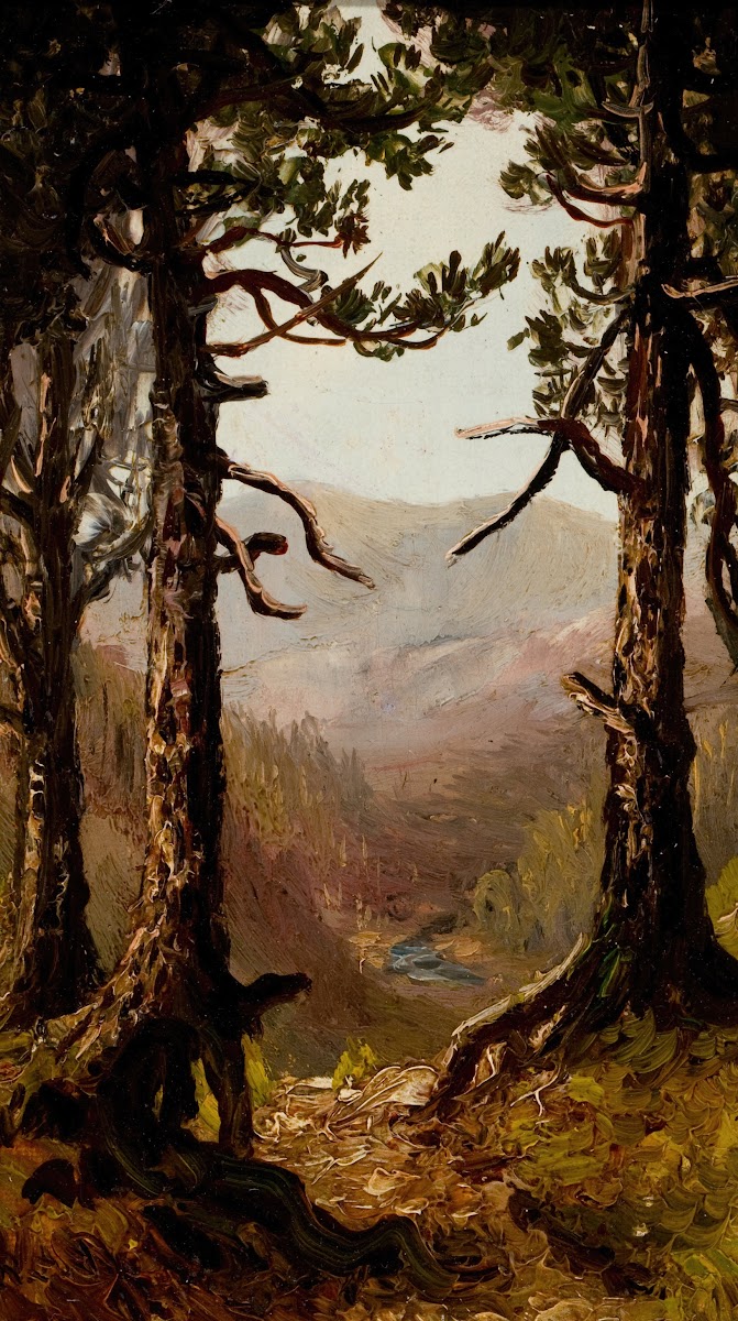 Adirondack Landscape circa 1868