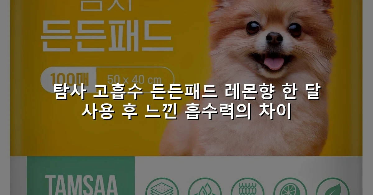 탐사 고흡수 든든패드 레몬향 한 달 사용 후 느낀 흡수력의 차이