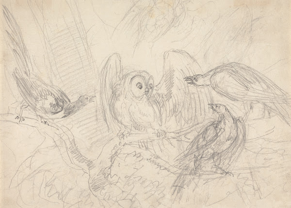 Three Pheasants Surrounding an Owl