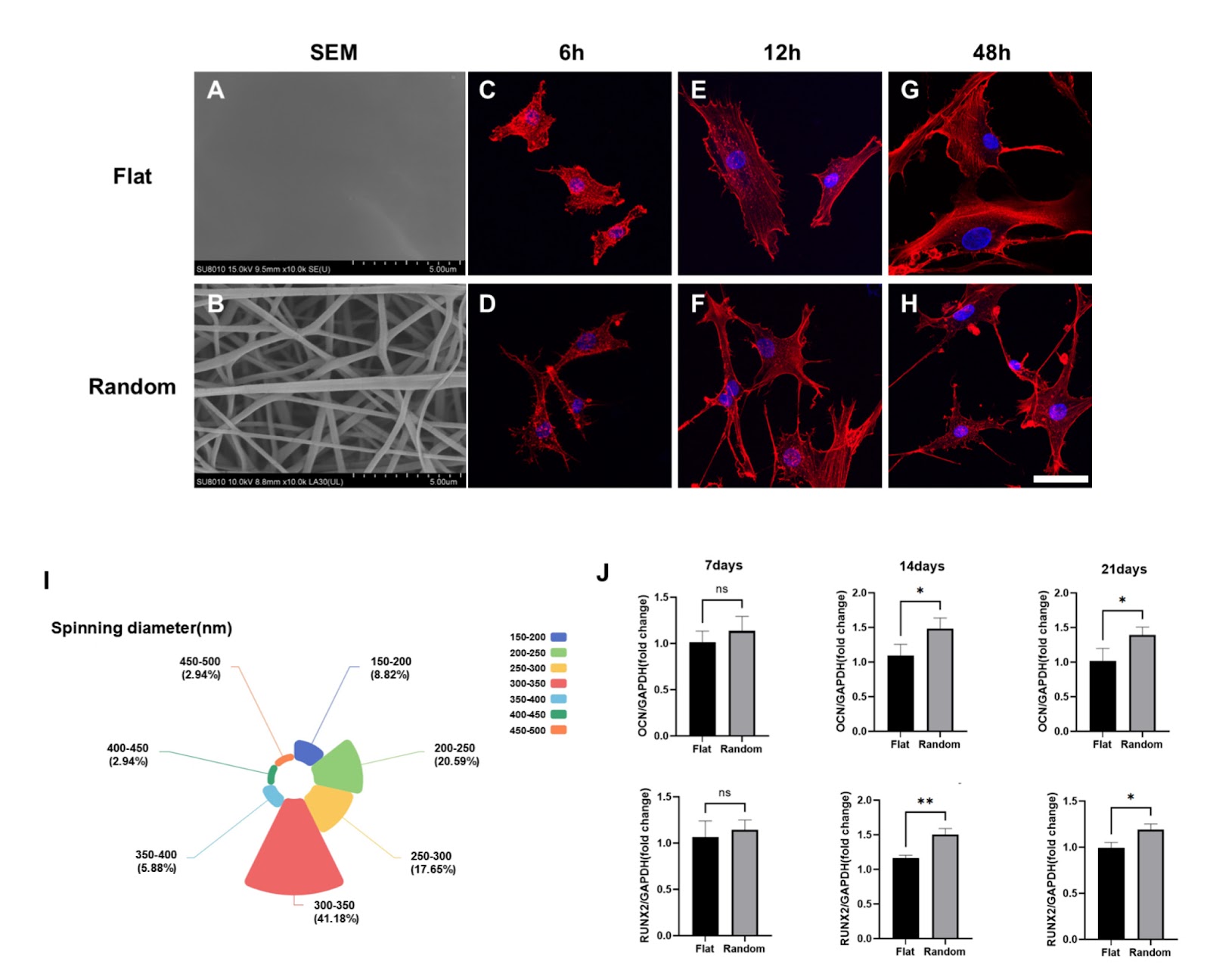 Substrate topography-induced osteogenesis of bone marrow stem cells by reducing the chromatin accessibility of YBX1