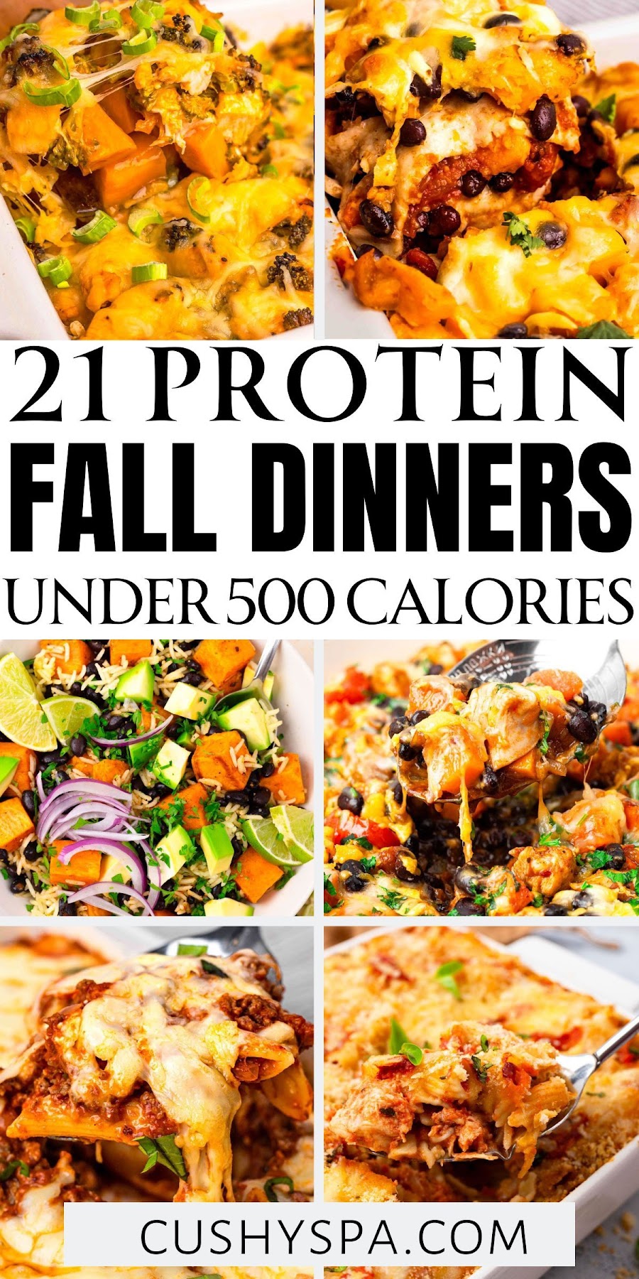 780+ easy recipes stuffing recipes
