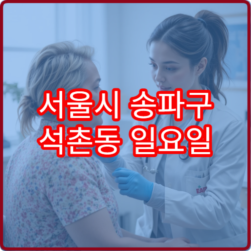 서울시 송파구 석촌동 일요일 피부과 진료 병원 두드러기