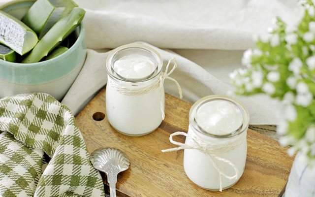 Sữa Chua Nha Đam Ngày Tết