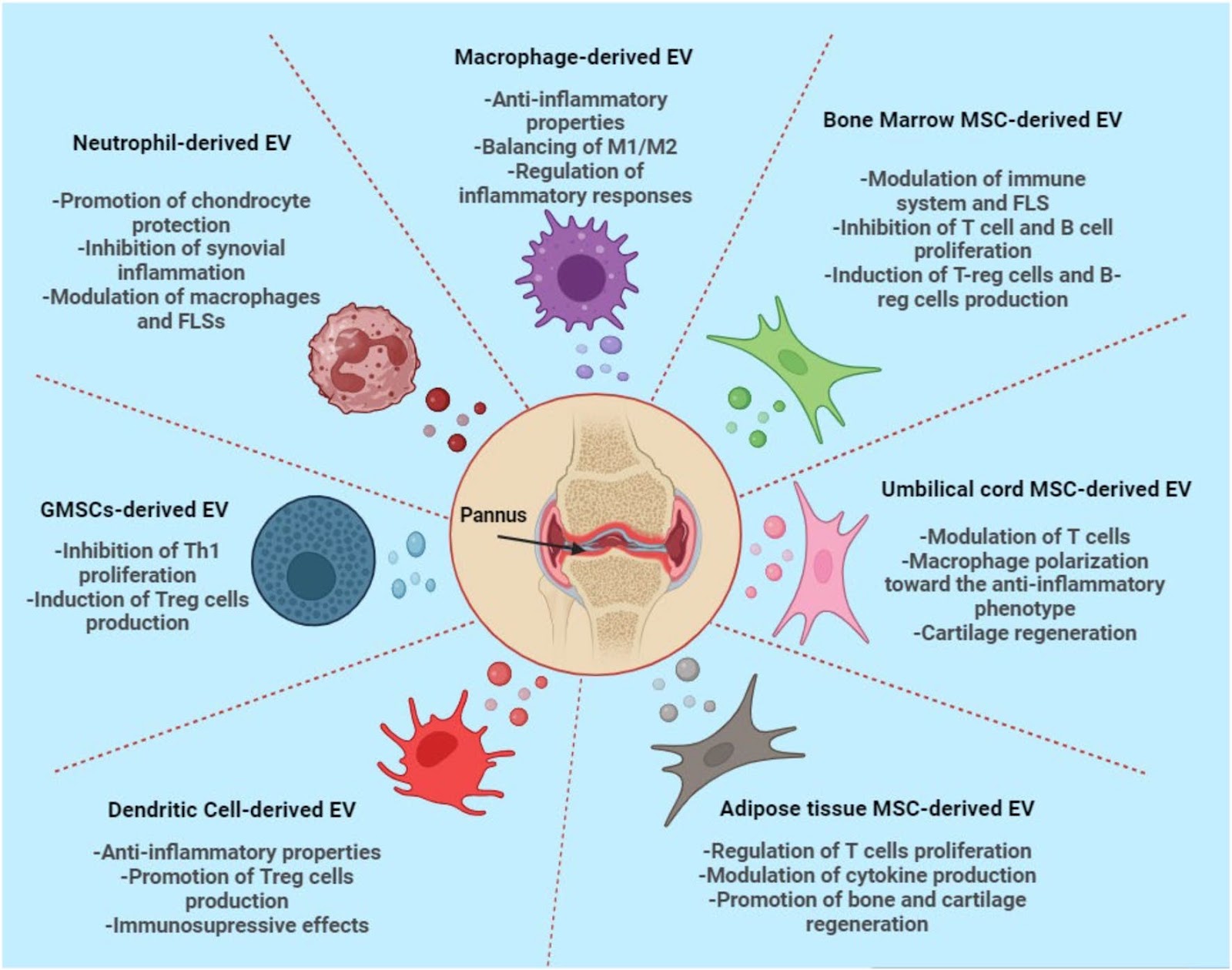 Advancements in extracellular vesicle targeted therapies for rheumatoid arthritis: insights into cellular origins, current perspectives, and emerging challenges