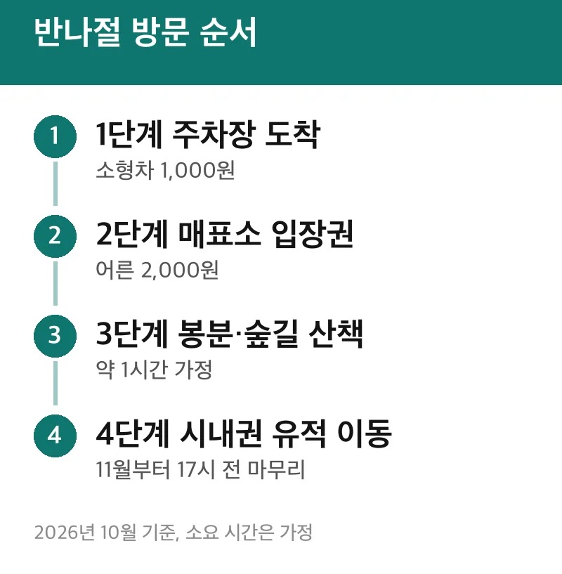반나절 방문 순서