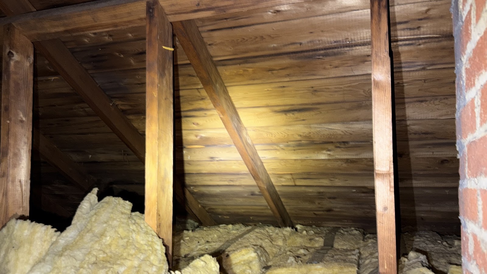 Copy of IMG_2026-03-13_14-13-03_343.jpg