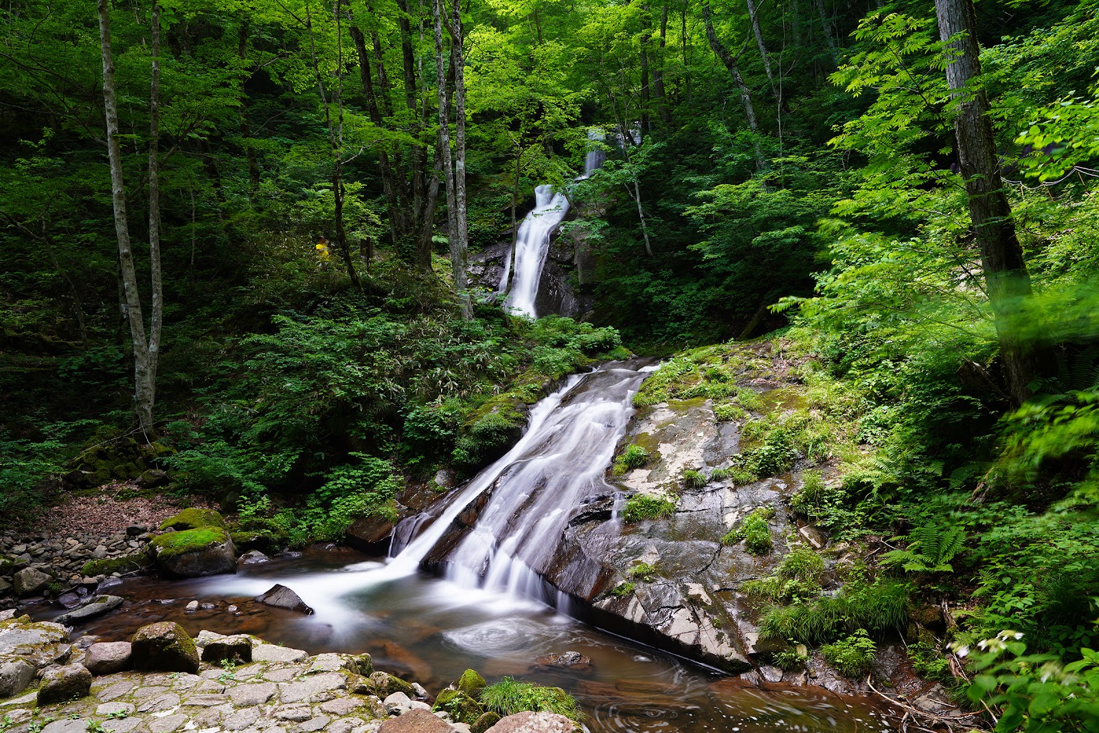 宇津江四十八滝(夏)