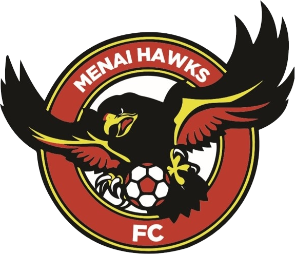 Menai Hawks logo