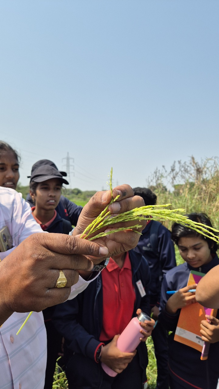Crop Science Learning
