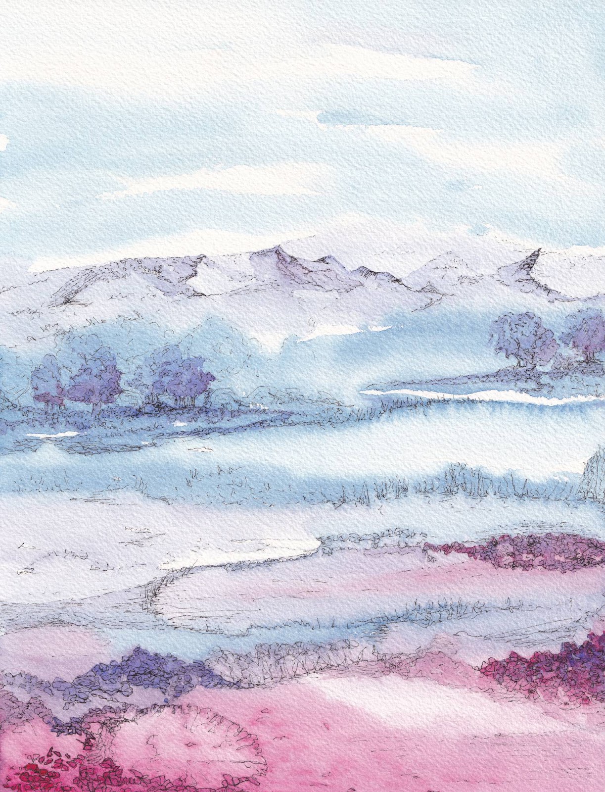 Carolyn Hassall