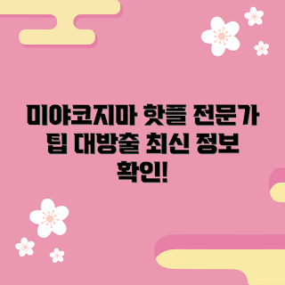 미야코지마 여행, 미야코지마 팁, 초보 여행자 가이드, 미야코지마 추천 장소, 미야코지마 최신 정보