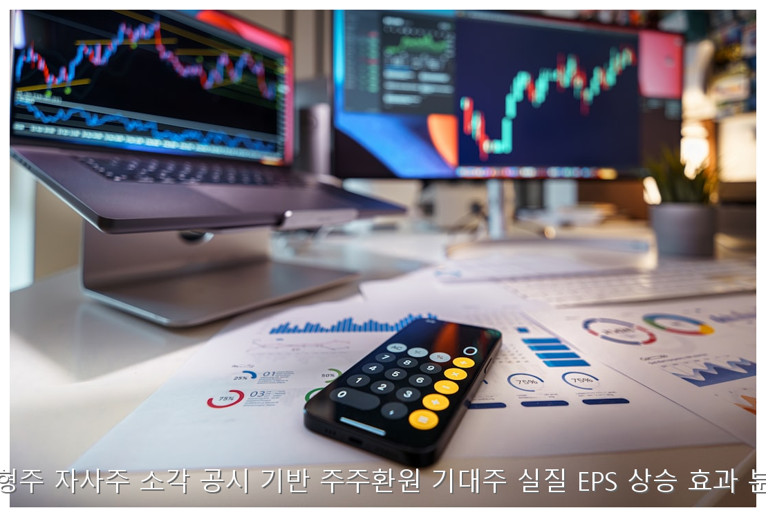 대형주 자사주 소각 공시 기반 주주환원 기대주 실질 EPS 상승 효과 분석 핵심 안내 및 분석 인포그래픽 (4)
