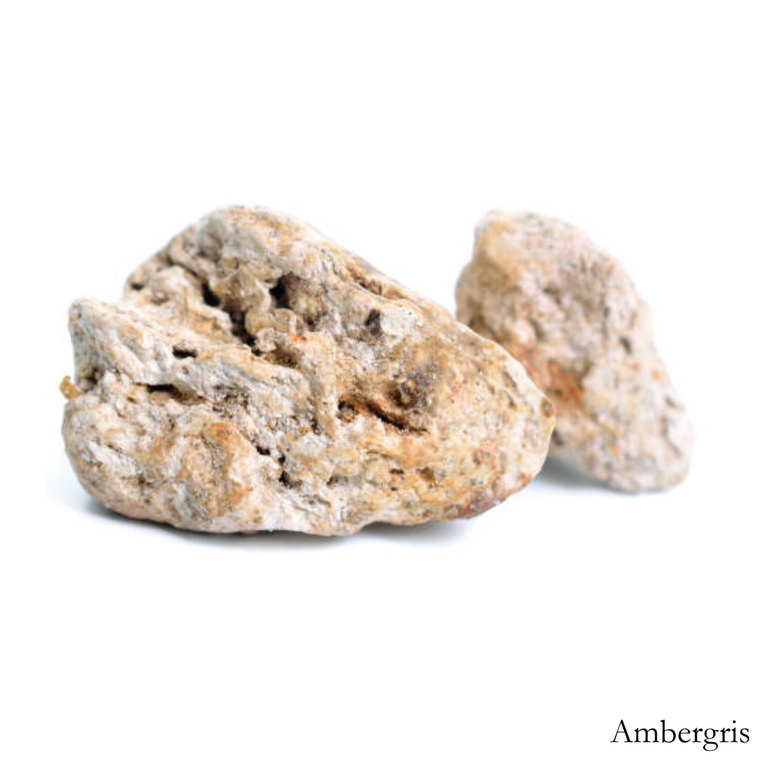 Ambergris