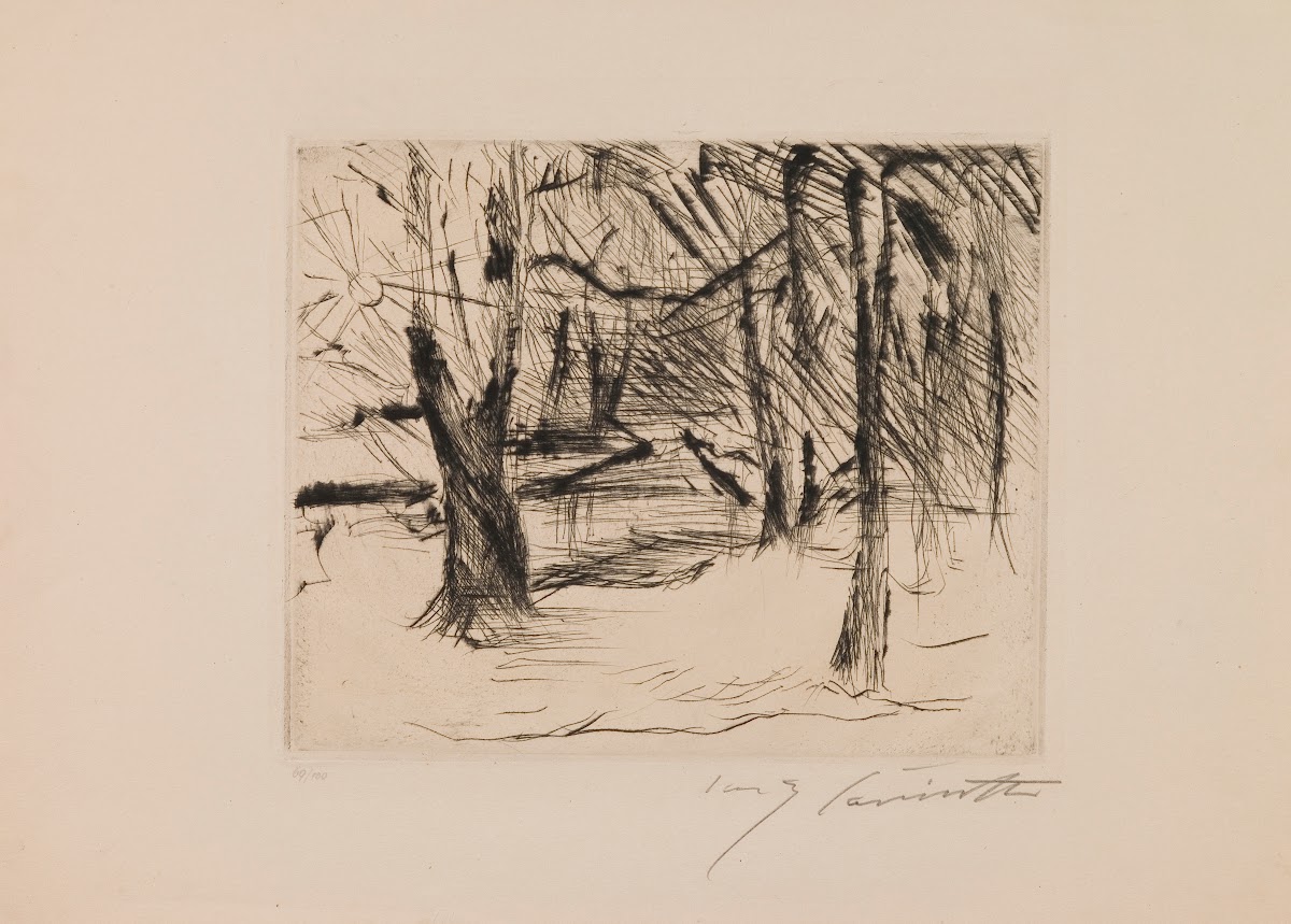 Trees in the Sun 192021