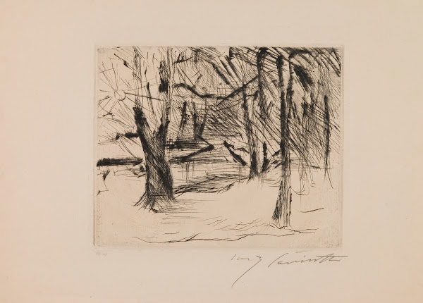 Trees in the Sun 192021