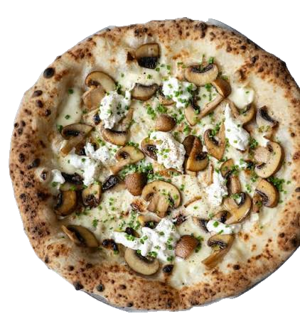 Garlic Mushroom 15"