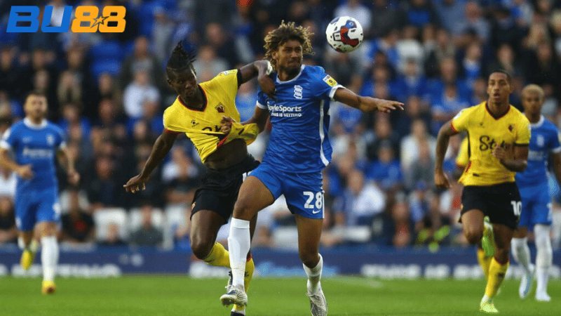 Phong độ gần đây của Birmingham - Watford