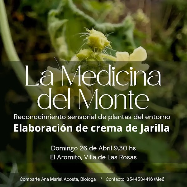 La Medicina del Monte