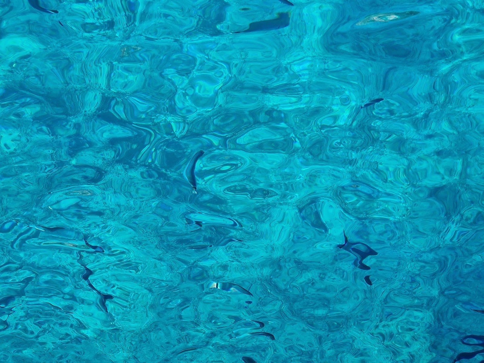 Photo de l’escale Palma
