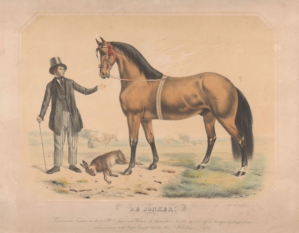Paard van WL de Jager uit Wartena De Jonker 1851 1861
