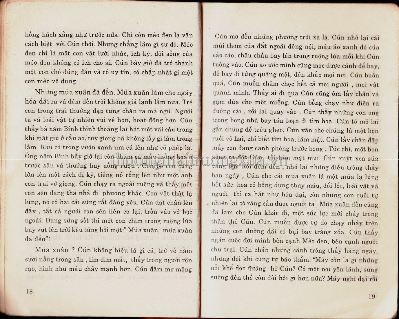Cún số 5 (1993) - Trang 10