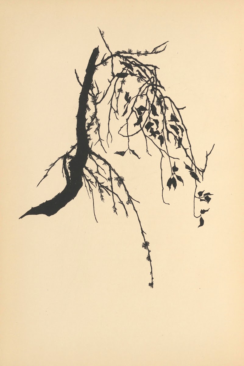 Vertrauen Pl35 1933