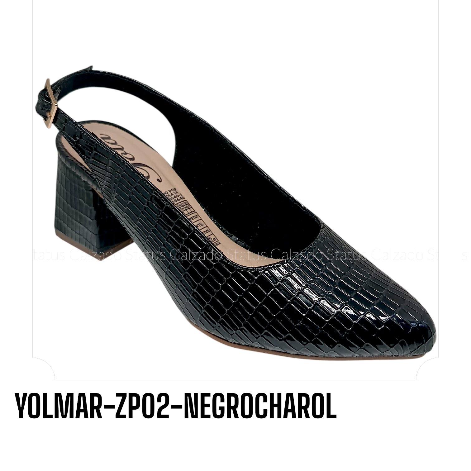 YOLMAR-ZP02-NEGROCHAROL