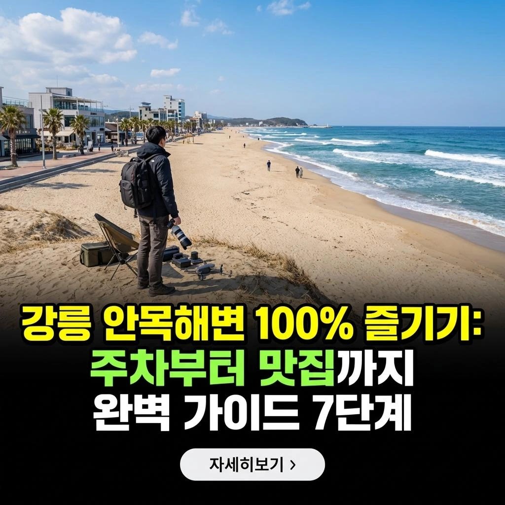 강릉 안목해변, 아이와 함께 완벽 즐기기